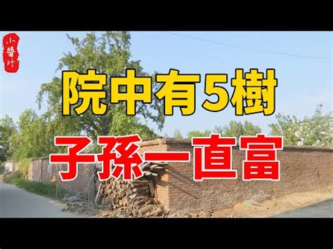 風水 桃|【風水 桃】桃樹的風水禁忌與吉兆：讓財運、健康、子孫運大爆。